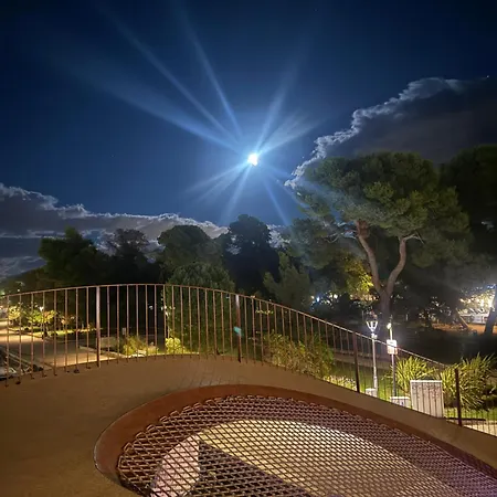 Botic トロギール