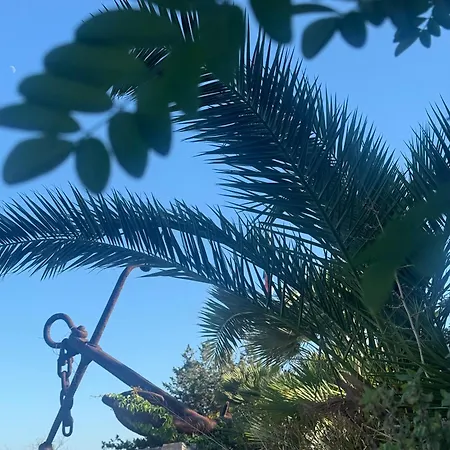 Apartman Botic Trogir