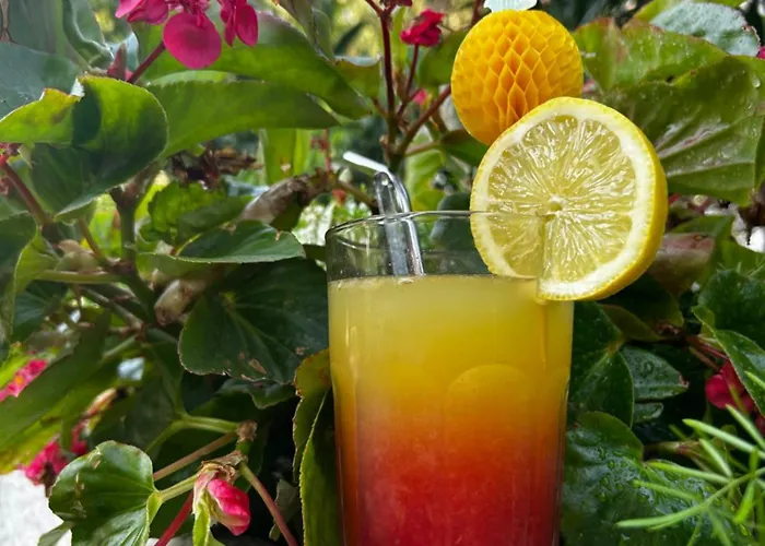 Botic Lejlighed Trogir